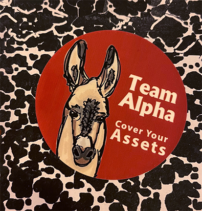 Team Alpha red sticker with llama 