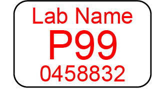 Text only lab slide label example