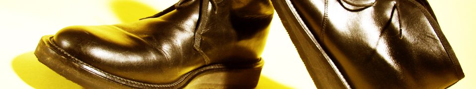 Pair of brown leather shoes
