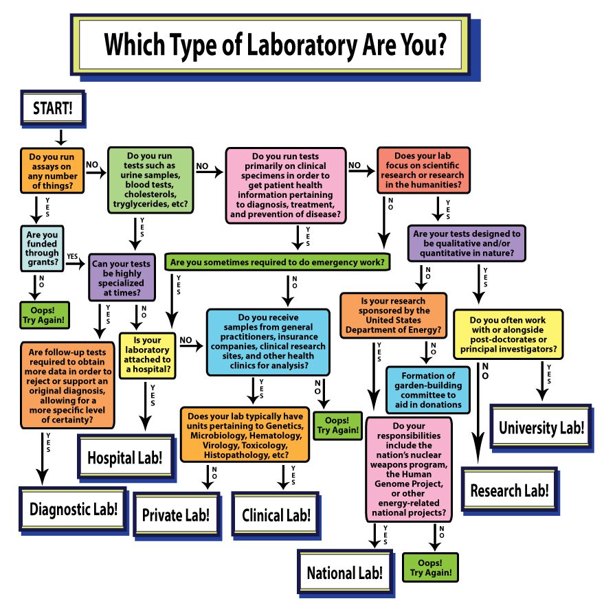 What type of Lab are you flow chart 