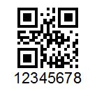 Example of a QR Code barcode type