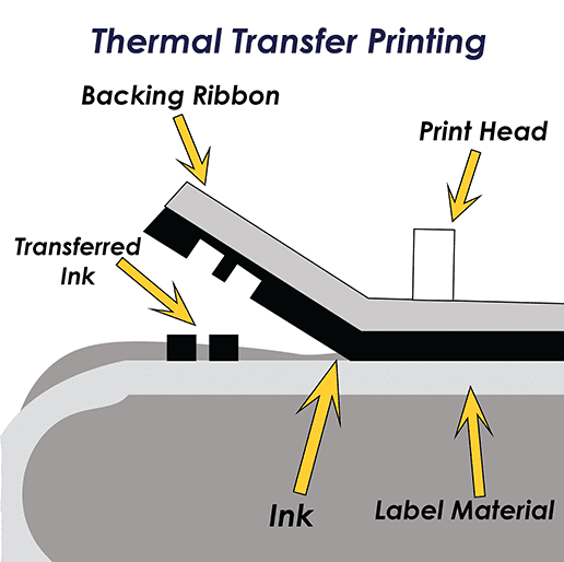 The Difference Between Direct Thermal vs Thermal Transfer Printers
