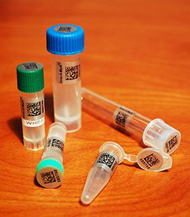 Laboratory vials resting labeled with Data Matrix barcodes resting on a wooden table - tube labels 