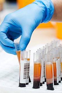 Gloved hand grabbing labeled sample test tubes