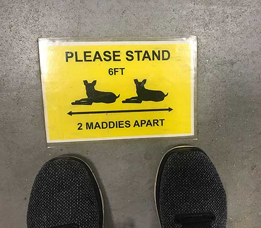 Please stand 2 Maddies apart label