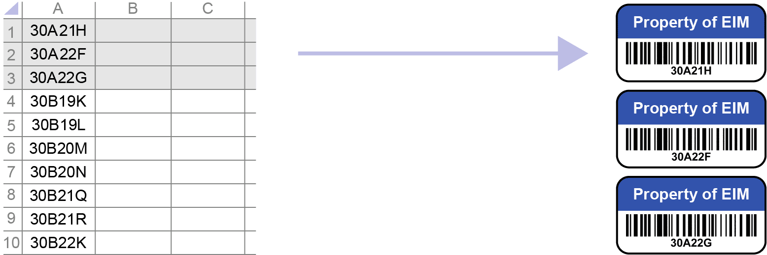 Variable barcoding example