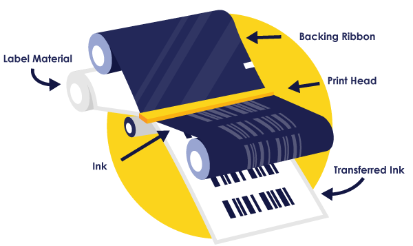 Thermal transfer printing process infographic