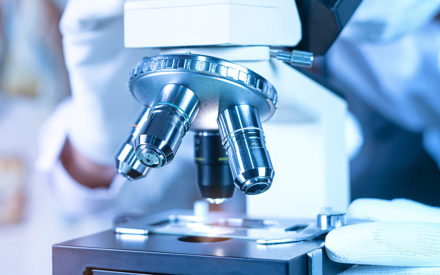 Microsocpe Image How to Use Microscope Slide Labels